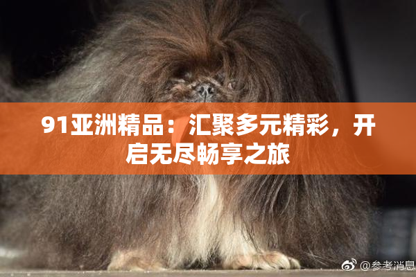 91亚洲精品：汇聚多元精彩，开启无尽畅享之旅