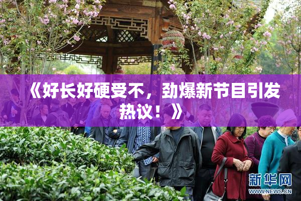 《好长好硬受不，劲爆新节目引发热议！》