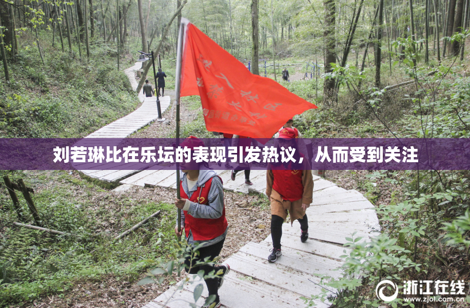 刘若琳比在乐坛的表现引发热议，从而受到关注