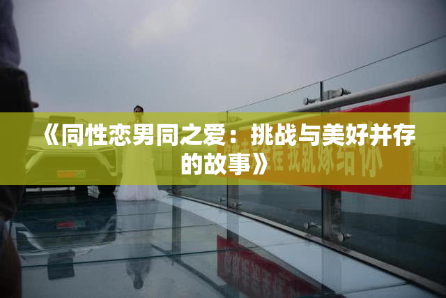 《同性恋男同之爱：挑战与美好并存的故事》