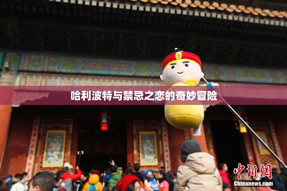 哈利波特与禁忌之恋的奇妙冒险