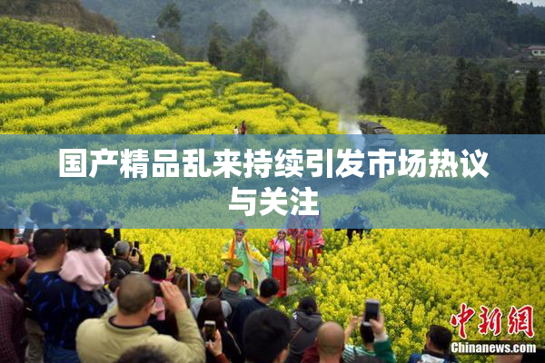 国产精品乱来持续引发市场热议与关注