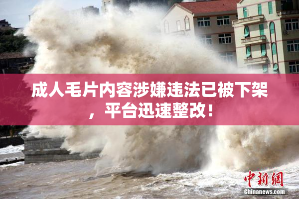 成人毛片内容涉嫌违法已被下架，平台迅速整改！