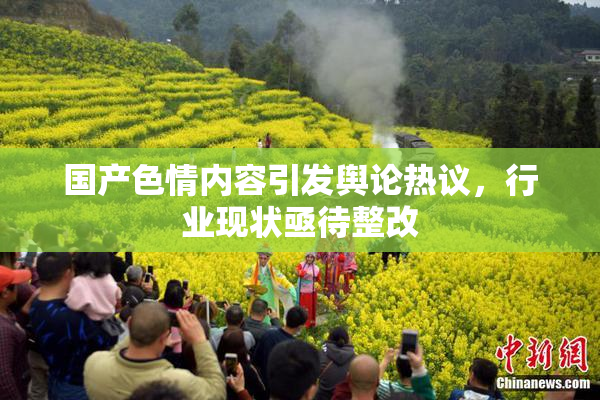 国产色情内容引发舆论热议，行业现状亟待整改
