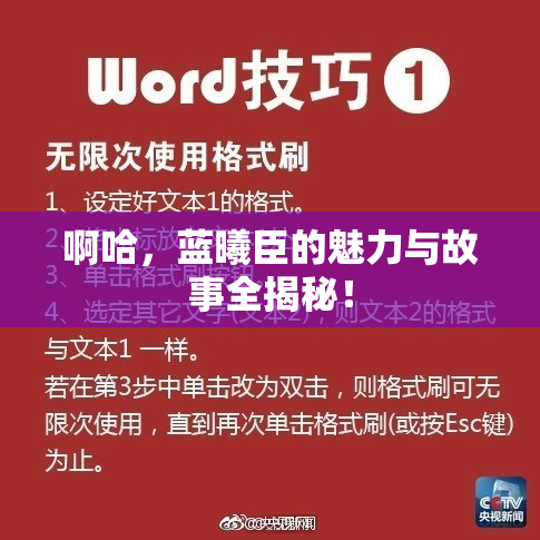啊哈，蓝曦臣的魅力与故事全揭秘！