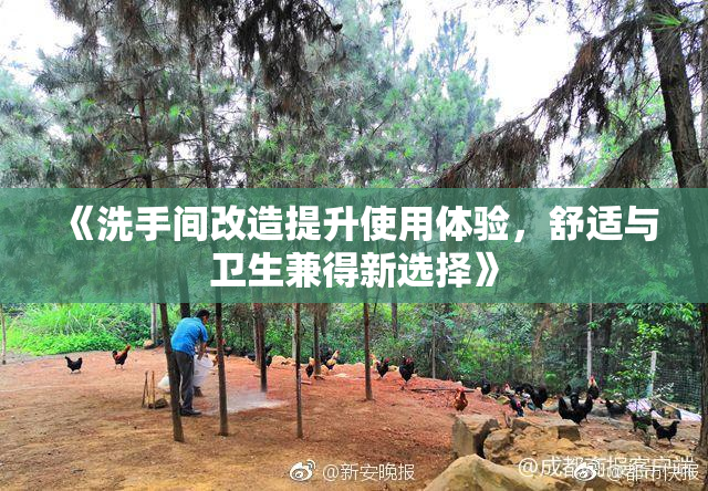 《洗手间改造提升使用体验，舒适与卫生兼得新选择》
