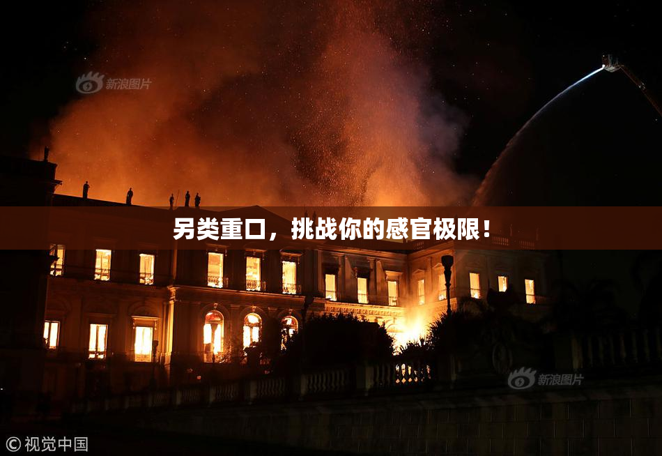 另类重口，挑战你的感官极限！