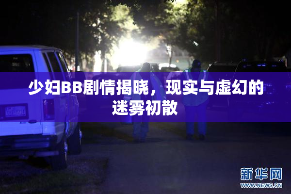 少妇BB剧情揭晓，现实与虚幻的迷雾初散