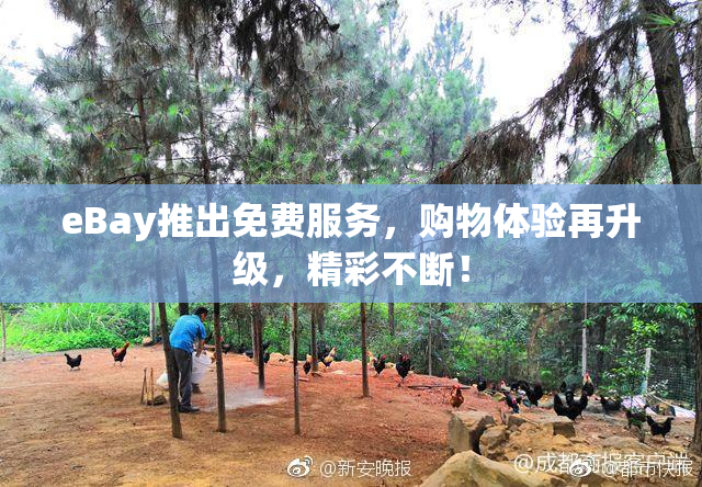 eBay推出免费服务，购物体验再升级，精彩不断！