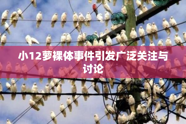 小12萝裸体事件引发广泛关注与讨论