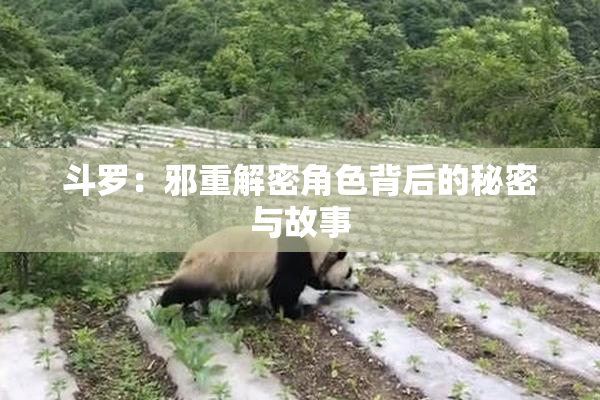斗罗：邪重解密角色背后的秘密与故事