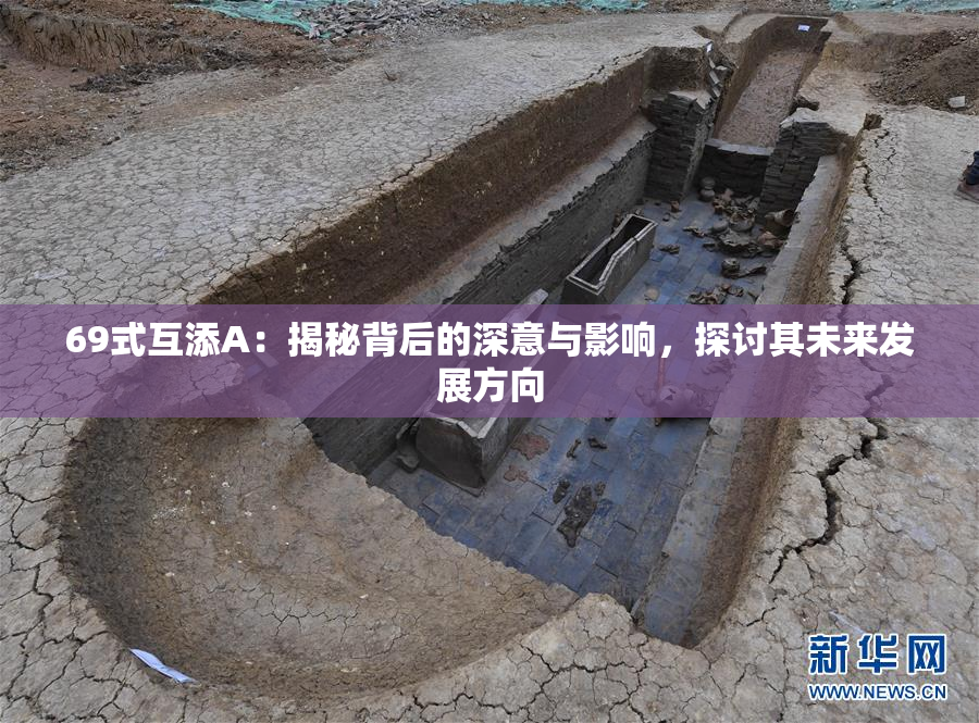 69式互添A：揭秘背后的深意与影响，探讨其未来发展方向