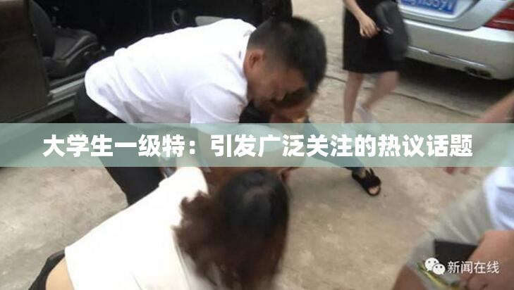 大学生一级特：引发广泛关注的热议话题