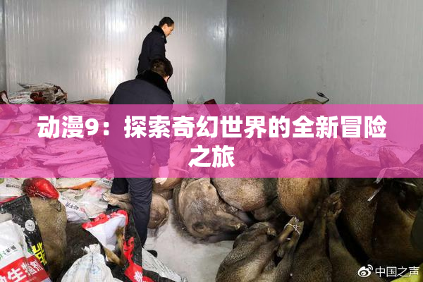 动漫9：探索奇幻世界的全新冒险之旅