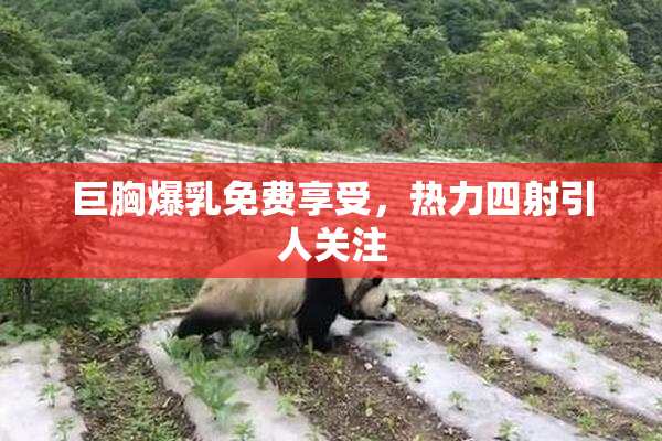 巨胸爆乳免费享受，热力四射引人关注