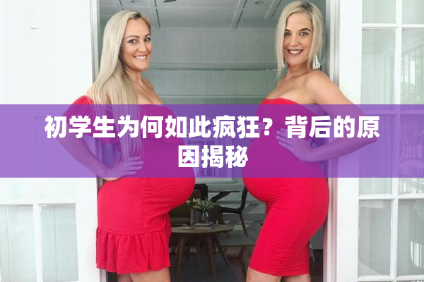 初学生为何如此疯狂？背后的原因揭秘