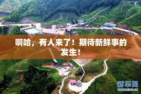 啊哈，有人来了！期待新鲜事的发生！