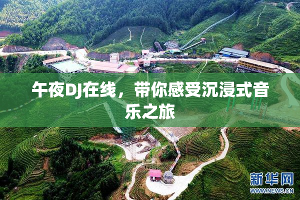 午夜DJ在线，带你感受沉浸式音乐之旅