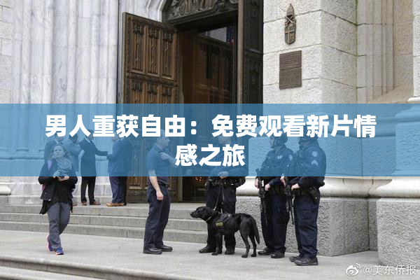 男人重获自由：免费观看新片情感之旅