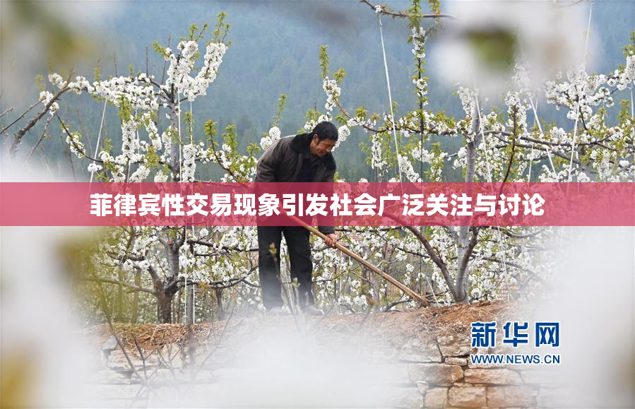 菲律宾性交易现象引发社会广泛关注与讨论