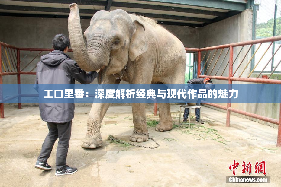 工口里番：深度解析经典与现代作品的魅力
