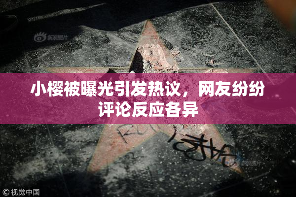 小樱被曝光引发热议，网友纷纷评论反应各异