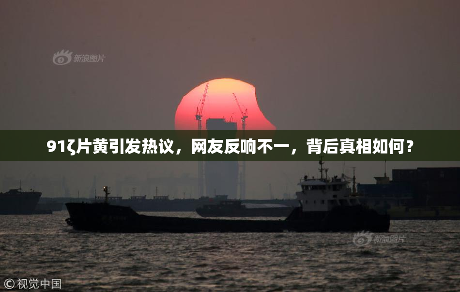 91ζ片黄引发热议，网友反响不一，背后真相如何？