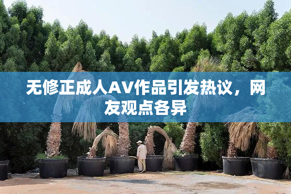 无修正成人AV作品引发热议，网友观点各异