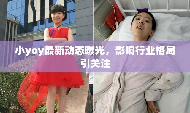 小yoy最新动态曝光，影响行业格局引关注
