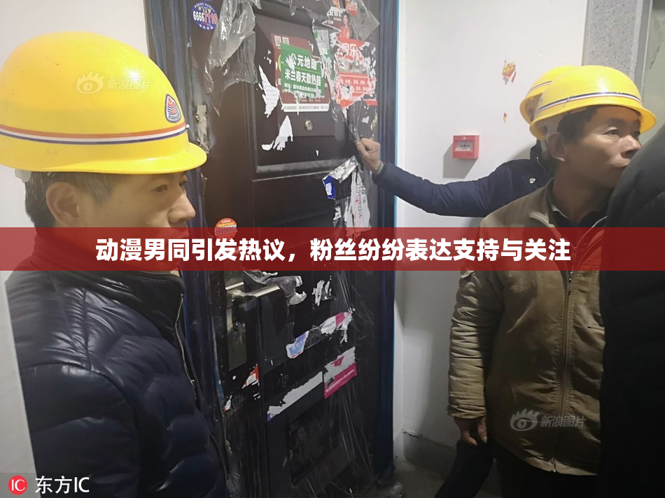 动漫男同引发热议，粉丝纷纷表达支持与关注