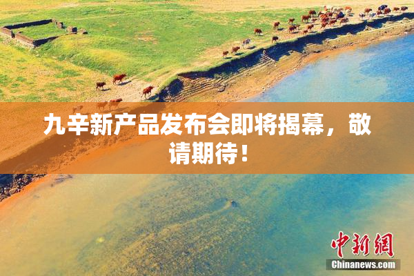 九辛新产品发布会即将揭幕，敬请期待！