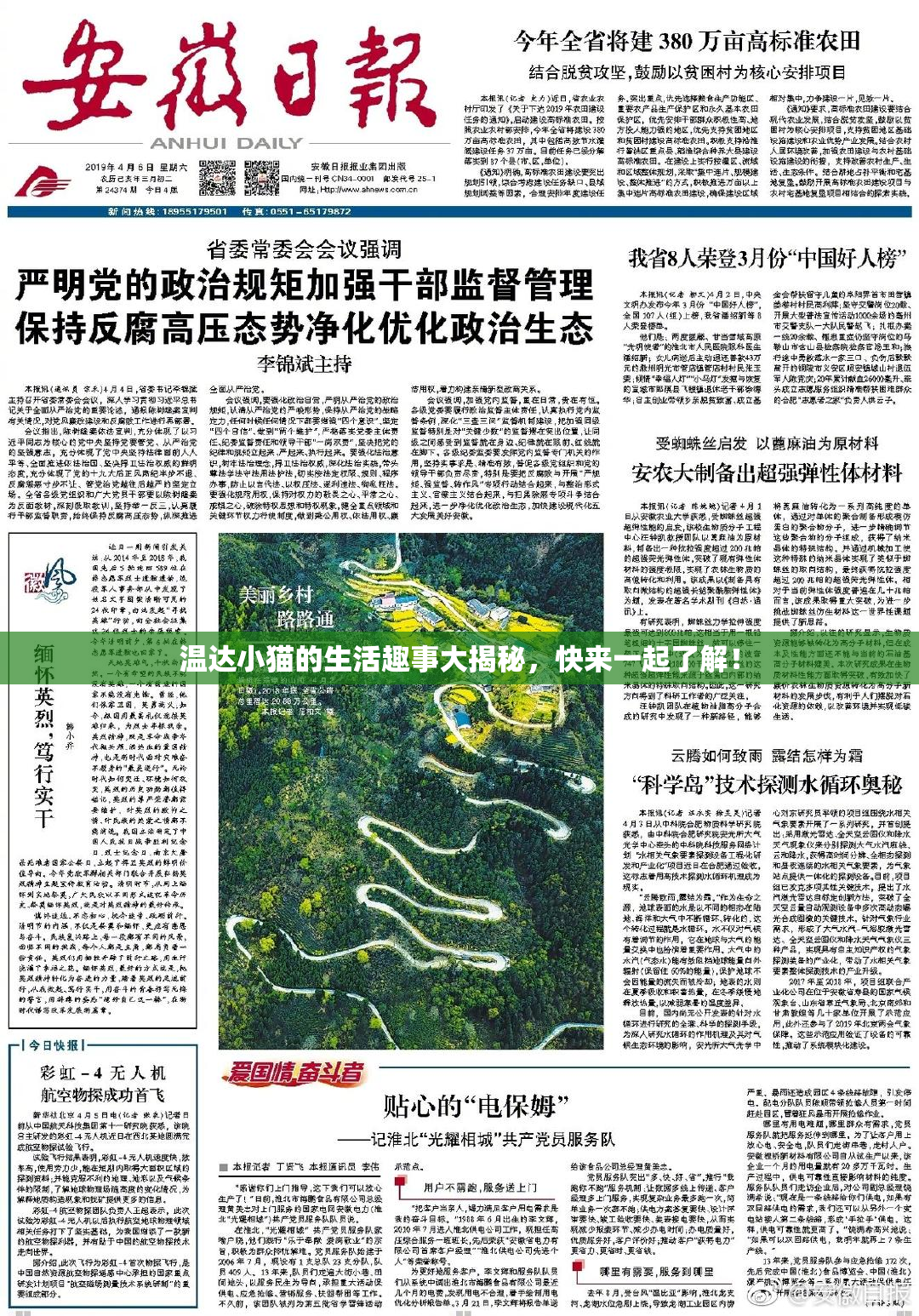 温达小猫的生活趣事大揭秘，快来一起了解！