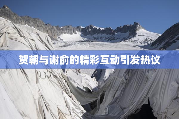 贺朝与谢俞的精彩互动引发热议