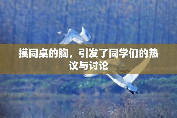 摸同桌的胸，引发了同学们的热议与讨论