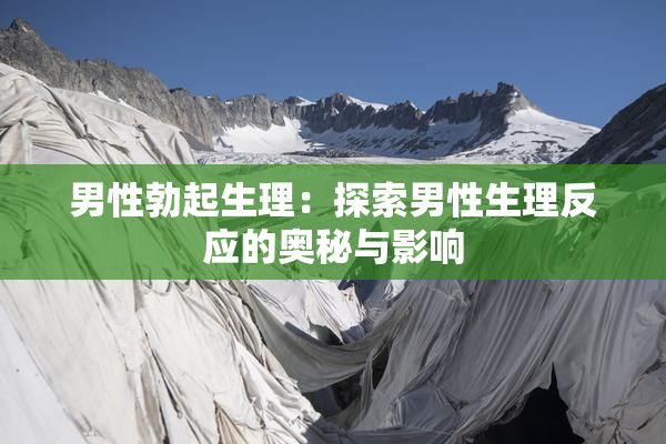 男性勃起生理：探索男性生理反应的奥秘与影响