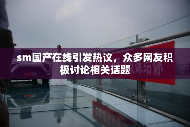 sm国产在线引发热议，众多网友积极讨论相关话题