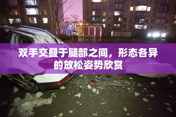 双手交叠于腿部之间，形态各异的放松姿势欣赏