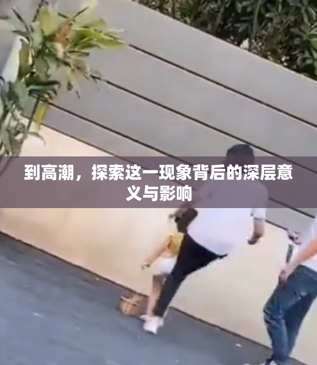 到高潮，探索这一现象背后的深层意义与影响
