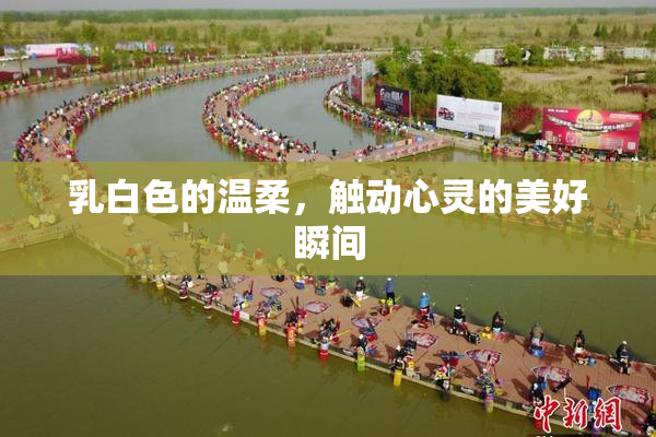 乳白色的温柔，触动心灵的美好瞬间