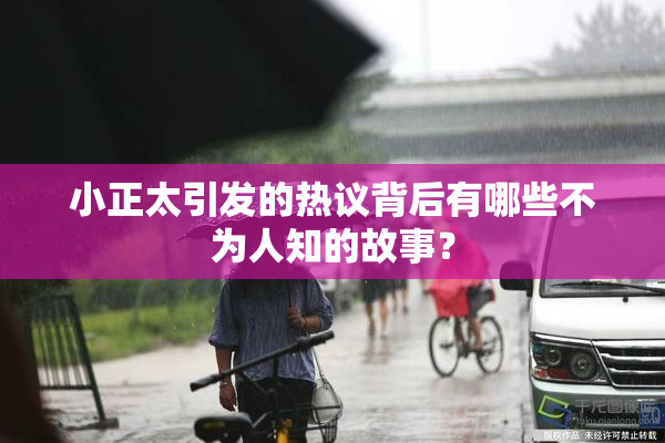 小正太引发的热议背后有哪些不为人知的故事？