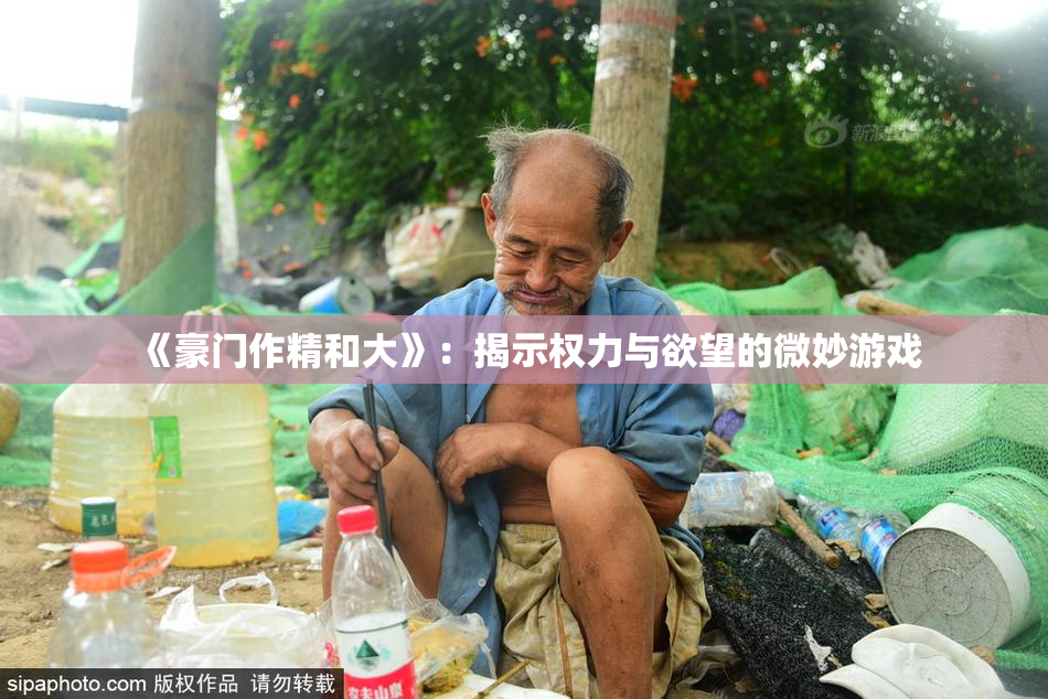 《豪门作精和大》：揭示权力与欲望的微妙游戏