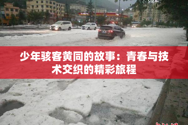 少年骇客黄同的故事：青春与技术交织的精彩旅程