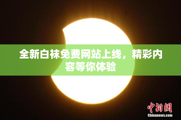 全新白袜免费网站上线，精彩内容等你体验