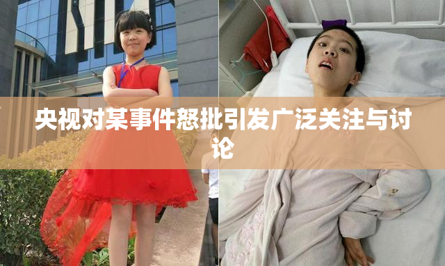 央视对某事件怒批引发广泛关注与讨论