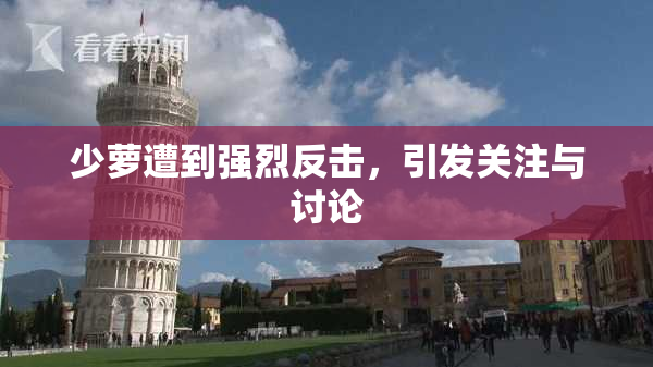 少萝遭到强烈反击，引发关注与讨论