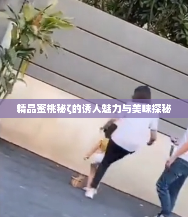 精品蜜桃秘ζ的诱人魅力与美味探秘