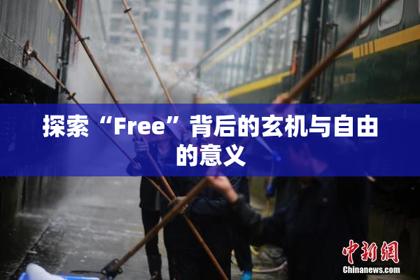 探索“Free”背后的玄机与自由的意义