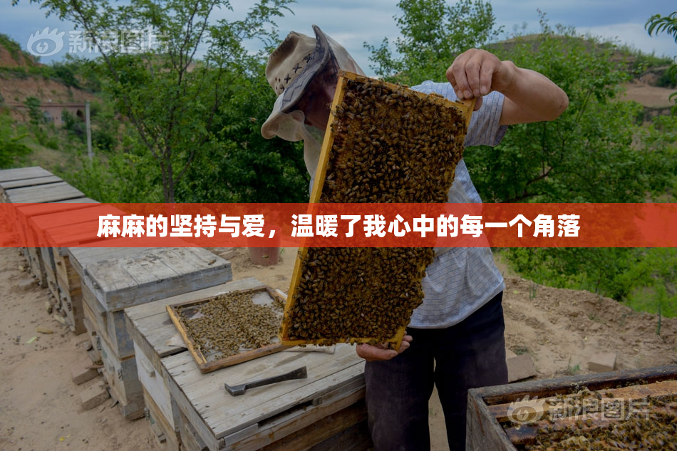 麻麻的坚持与爱，温暖了我心中的每一个角落
