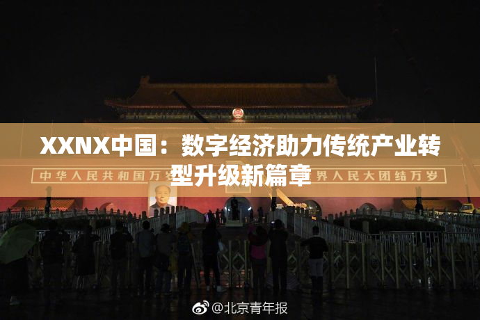 XXNX中国：数字经济助力传统产业转型升级新篇章