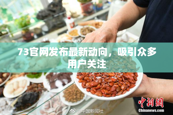 73官网发布最新动向，吸引众多用户关注